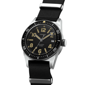 Diver