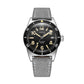 Diver