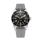 DIVER